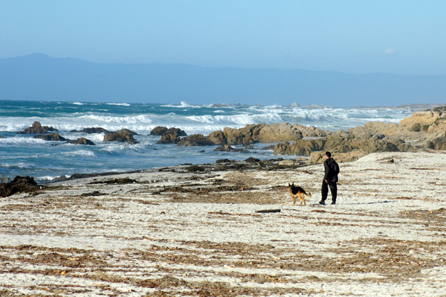 Walkin the Dog &copy; Dennis Mojado