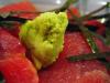 Wasabi