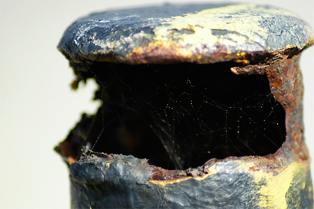 Web and Rust &copy; Dennis Mojado