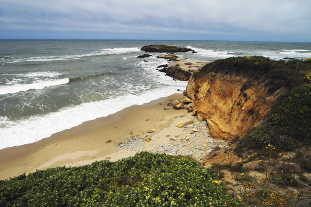 Pescadero State Beach (Wide) &copy; Dennis Mojado