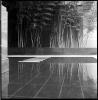 Zen Poolside II